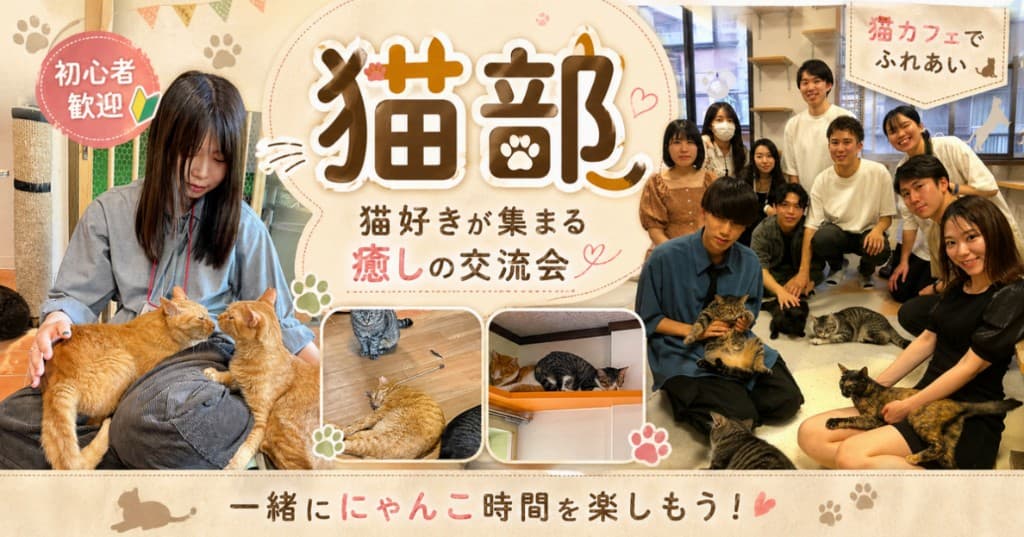 ねこ部